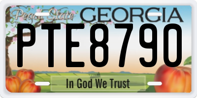 GA license plate PTE8790