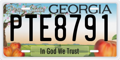 GA license plate PTE8791
