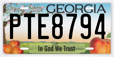 GA license plate PTE8794
