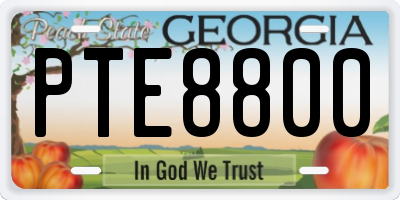 GA license plate PTE8800