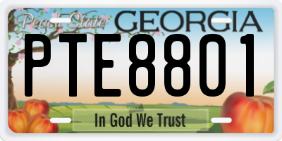 GA license plate PTE8801