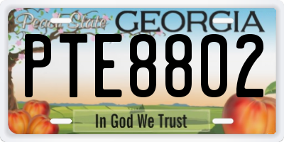 GA license plate PTE8802