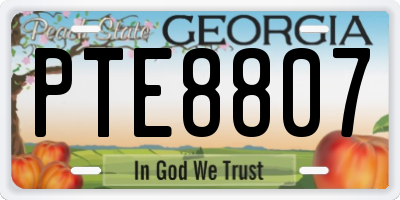 GA license plate PTE8807