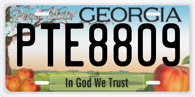 GA license plate PTE8809
