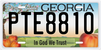 GA license plate PTE8810