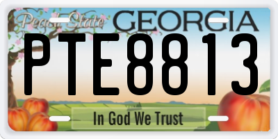 GA license plate PTE8813