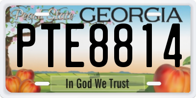 GA license plate PTE8814