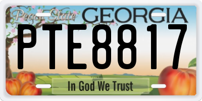 GA license plate PTE8817