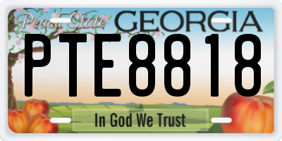 GA license plate PTE8818