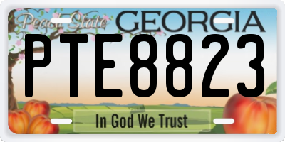 GA license plate PTE8823