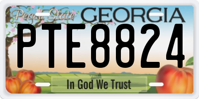 GA license plate PTE8824