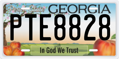 GA license plate PTE8828