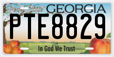 GA license plate PTE8829
