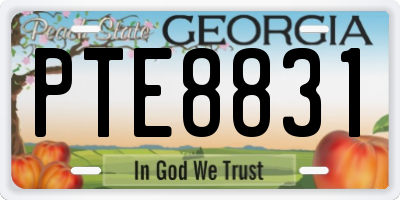 GA license plate PTE8831