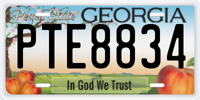 GA license plate PTE8834