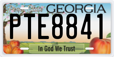 GA license plate PTE8841