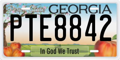 GA license plate PTE8842