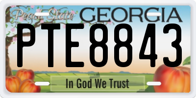 GA license plate PTE8843