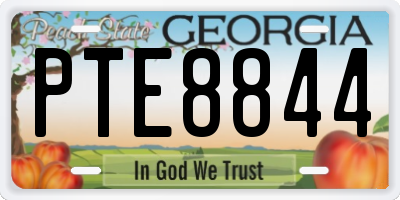 GA license plate PTE8844