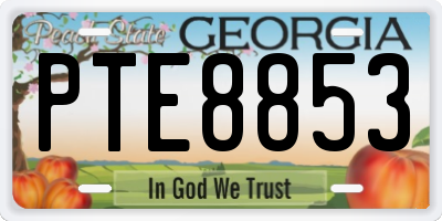 GA license plate PTE8853