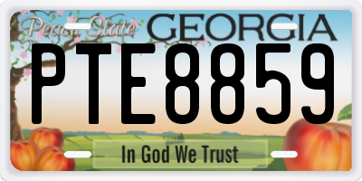 GA license plate PTE8859