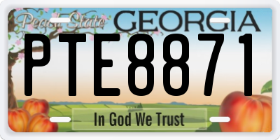 GA license plate PTE8871