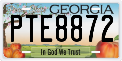 GA license plate PTE8872