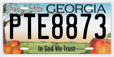 GA license plate PTE8873