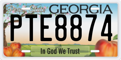 GA license plate PTE8874