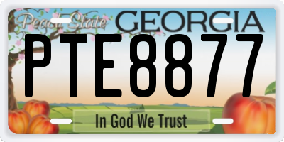 GA license plate PTE8877