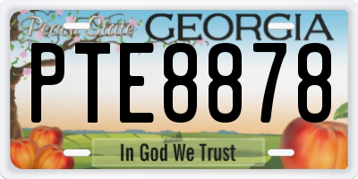 GA license plate PTE8878
