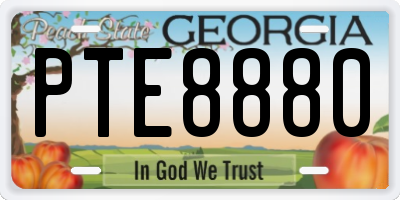 GA license plate PTE8880