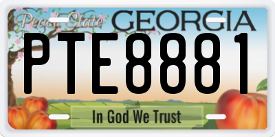 GA license plate PTE8881