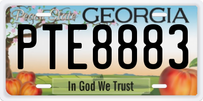 GA license plate PTE8883