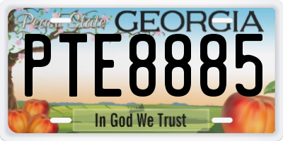 GA license plate PTE8885
