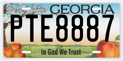 GA license plate PTE8887