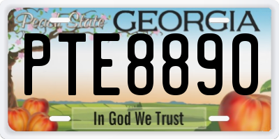 GA license plate PTE8890