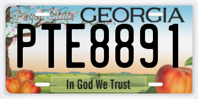 GA license plate PTE8891