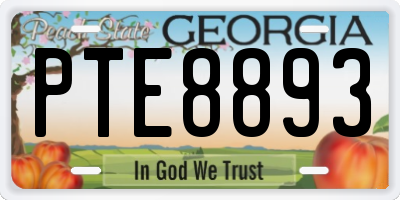 GA license plate PTE8893