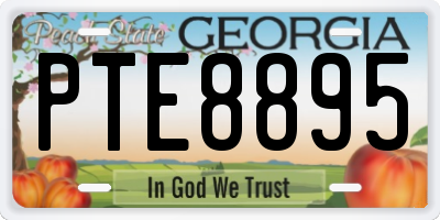 GA license plate PTE8895