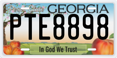 GA license plate PTE8898