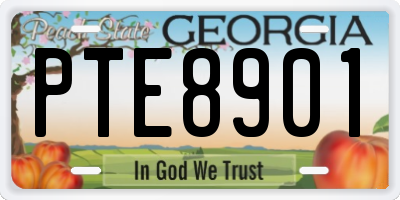 GA license plate PTE8901