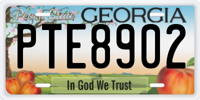 GA license plate PTE8902