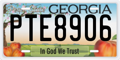 GA license plate PTE8906