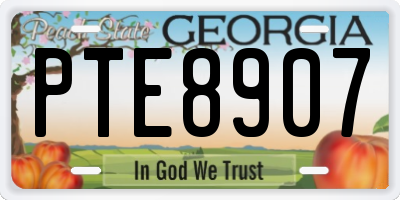GA license plate PTE8907