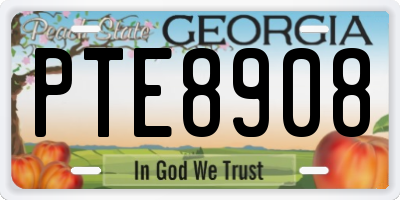 GA license plate PTE8908