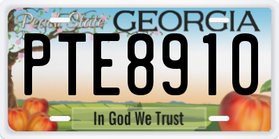 GA license plate PTE8910