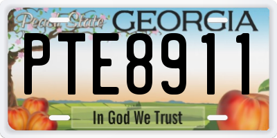 GA license plate PTE8911