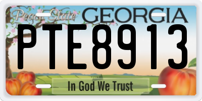 GA license plate PTE8913