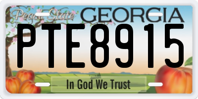 GA license plate PTE8915